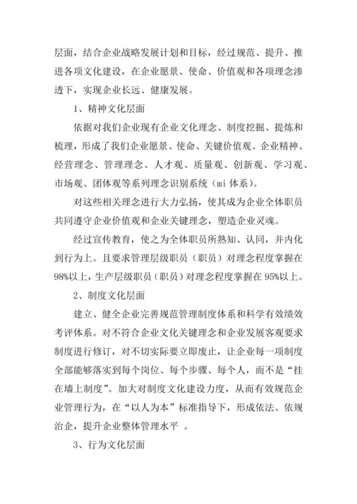 企业文化建设综合规划专业方案.docx