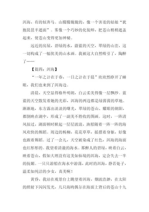 洱海作文600字0.docx