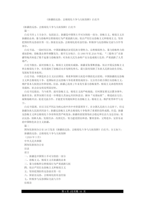 《新疆的反恐去极端化斗争与人权保障》白皮书.docx