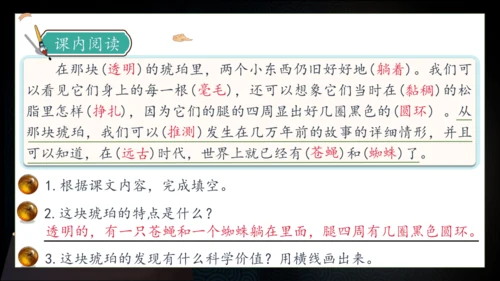 【核心素养】部编版语文四年级下册-5.琥珀 第2课时（课件）