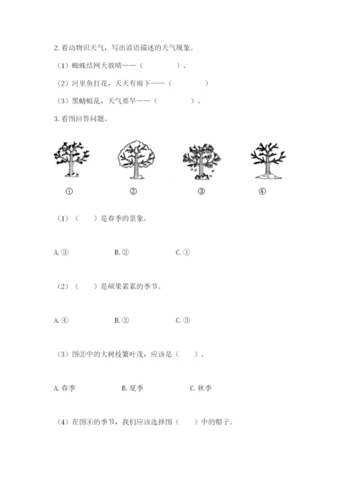教科版二年级上册科学期末测试卷含完整答案（考点梳理）.docx