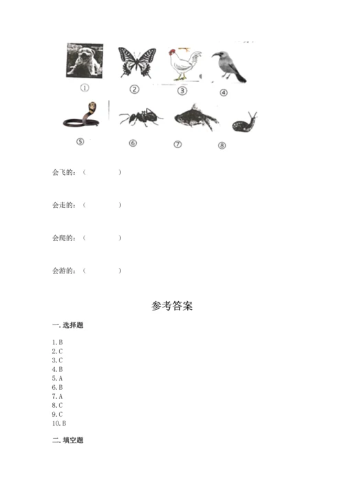 教科版一年级下册科学期末测试卷及参考答案（研优卷）.docx