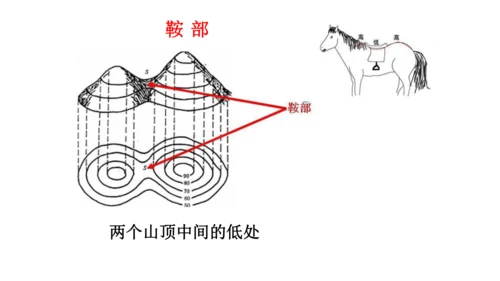 初中历史与社会 人文地理七年级上册期末复习课件