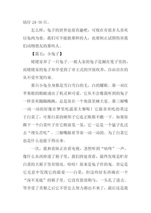 小兔子的作文.docx