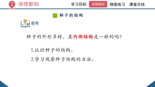 3.1.2  种子植物（课时1 种子的结构）课件-2023-2024学年人教版生物七年级上册(共24