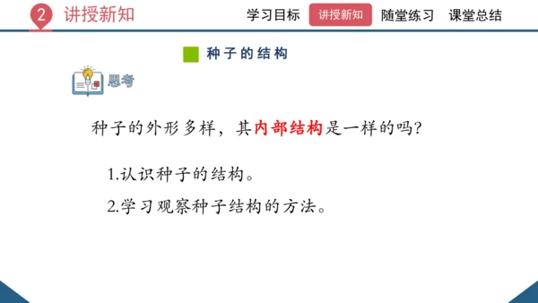 3.1.2  种子植物（课时1 种子的结构）课件-2023-2024学年人教版生物七年级上册(共24