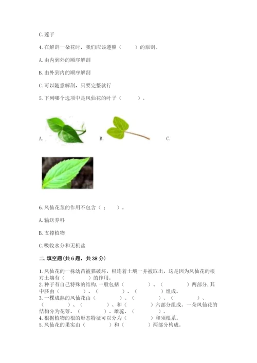 科学四年级下册第一单元植物的生长变化测试卷（全优）.docx