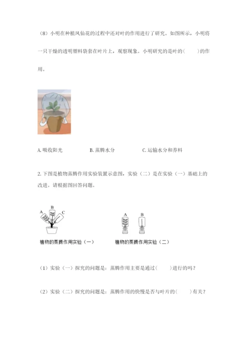 科学四年级下册第一单元植物的生长变化测试卷【综合题】.docx