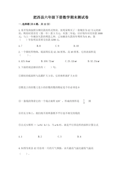 肥西县六年级下册数学期末测试卷（word）.docx