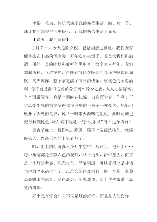 我的寒假作文600字.docx