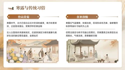 棕色系中国风寒露节气知识PPT模板