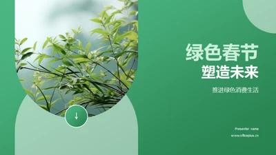 绿色春节 塑造未来