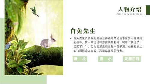 绿色实拍名著阅读分享会爱丽丝梦游仙境PPT读书分享