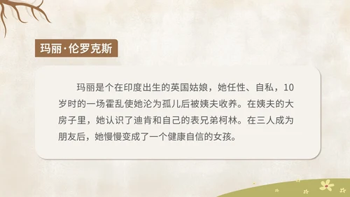 卡通《秘密花园》读书分享汇报PPT模板