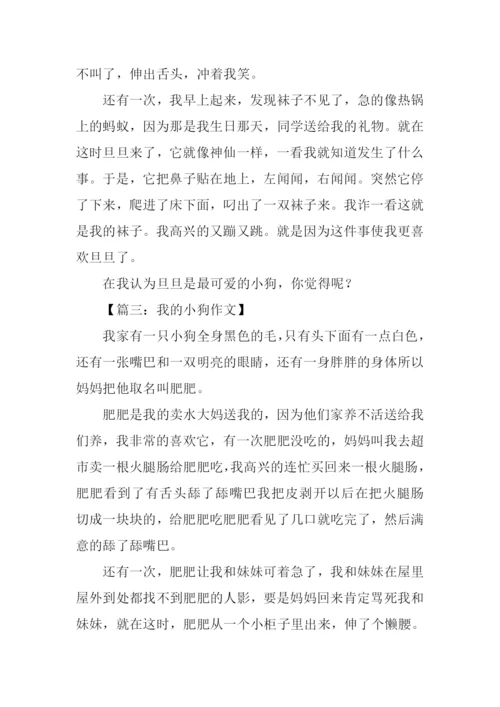 我的小狗作文250字.docx