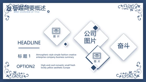 欧式花纹项目创业融资计划书商业计划书PPT