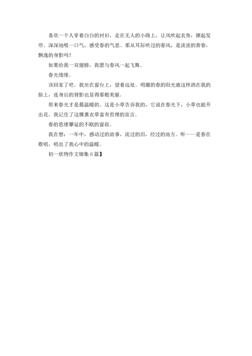 初一状物作文锦集6篇.docx