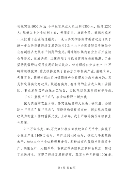 某镇关于工作总结及下半年工作计划的报告.docx