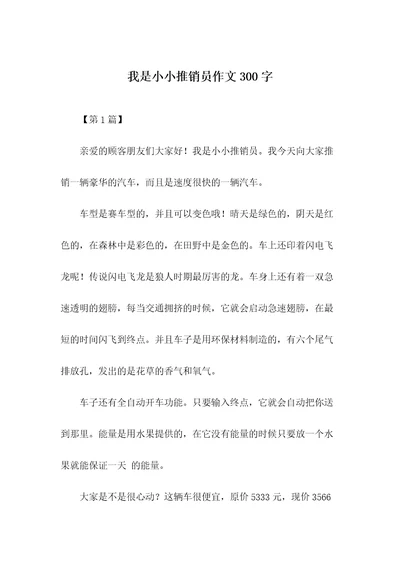 我是小小推销员作文300字