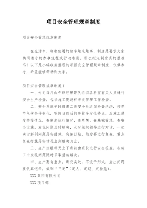 项目安全管理规章制度.docx