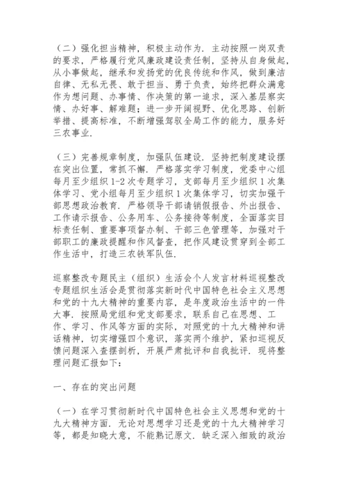 巡察整改专题民主（组织）生活会个人发言材料.docx