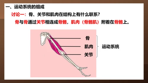 人教版生物八年级上册5.2.1《动物的运动》课件(共27张PPT)+视频素材