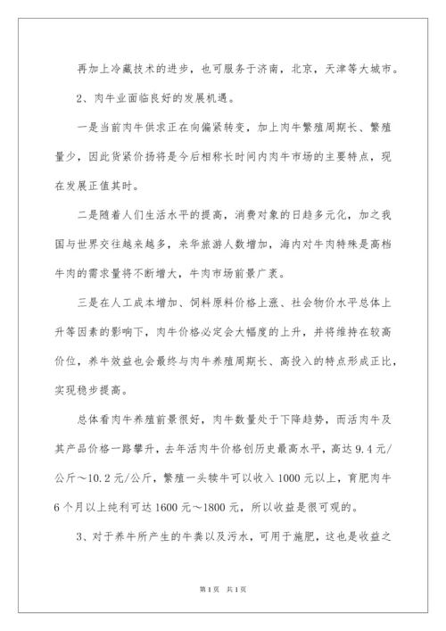 2022养牛创业项目计划书.docx