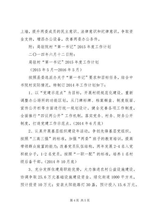 村第一书记任职规划计划 (4).docx