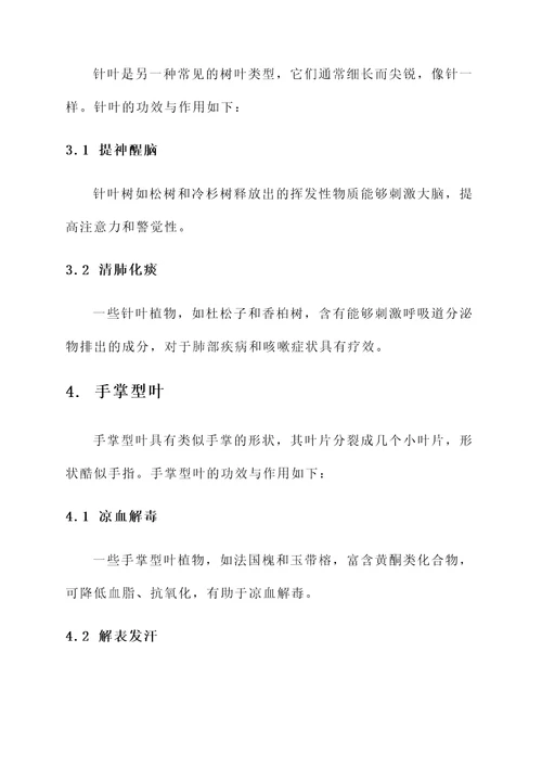 树叶的种类及功效与作用