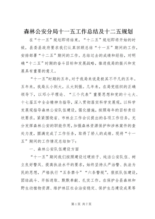 森林公安分局十一五工作总结及十二五规划.docx