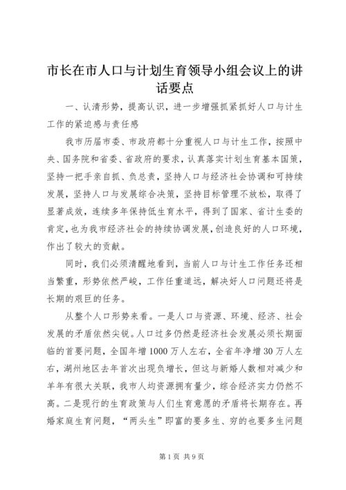 市长在市人口与计划生育领导小组会议上的讲话要点.docx