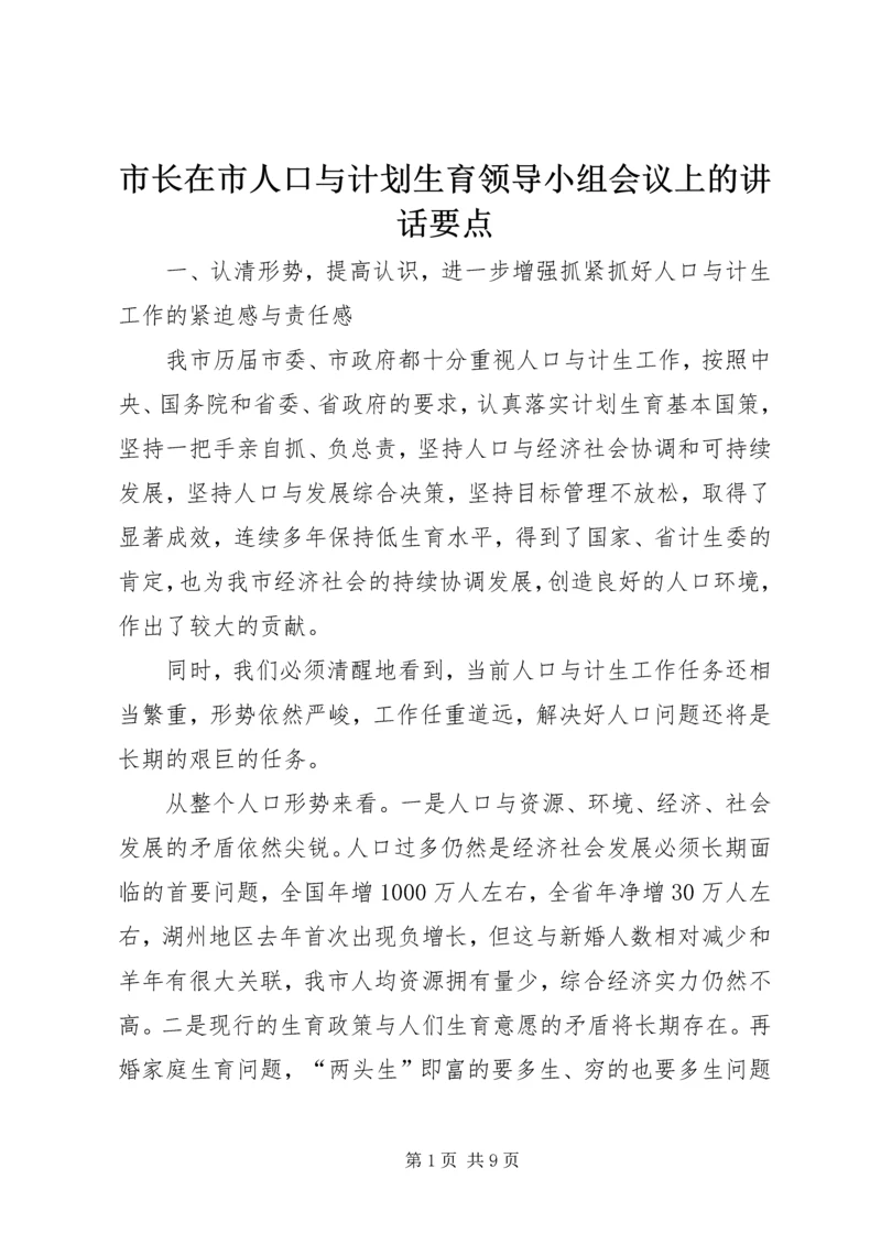 市长在市人口与计划生育领导小组会议上的讲话要点.docx