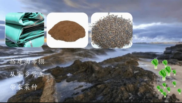 第15课《小岛》第一课时（教学课件）