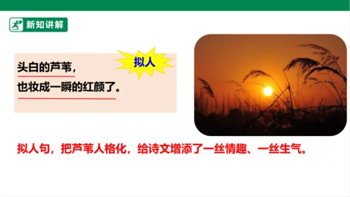 3.现代诗二首 秋晚的江上 课件