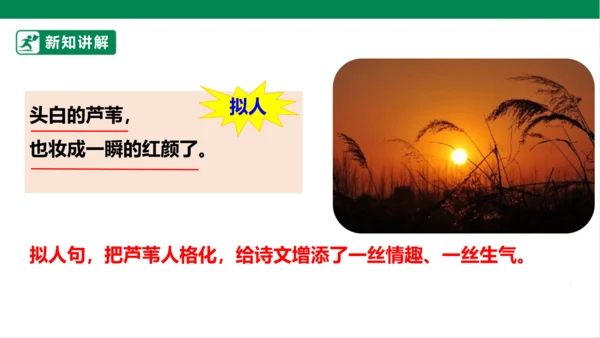 3.现代诗二首 秋晚的江上 课件