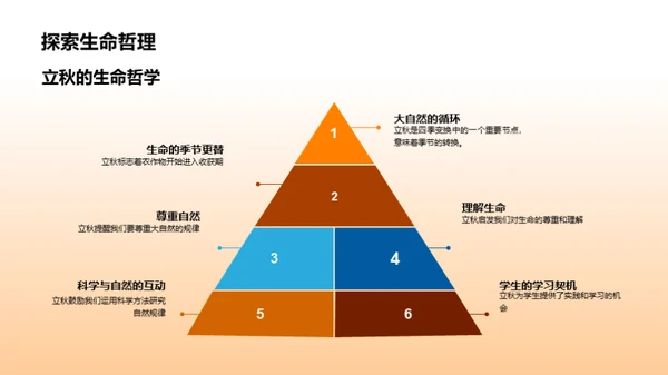 立秋：收获与启示