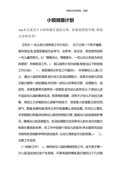 小班班级计划.docx