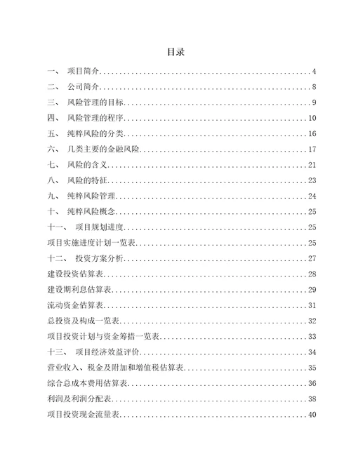 重大消防矿山等抢险救援技术装备项目纯粹风险管理参考