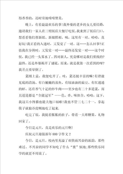 欢庆元旦迎接新年800字作文