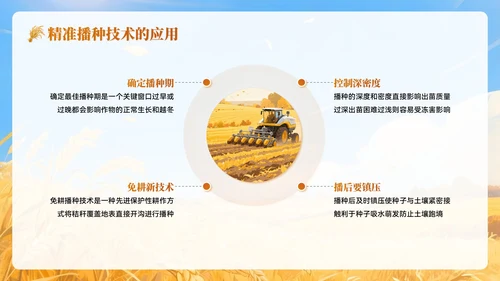 黄色插画风秋分农事农业培训PPT模板