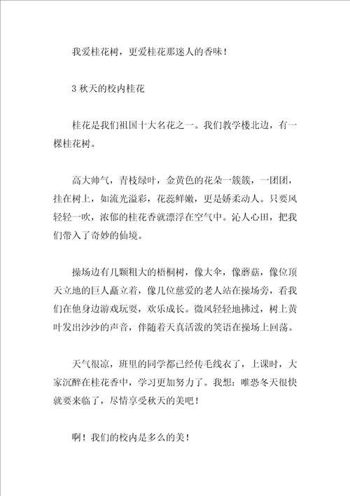 描绘桂花的作文