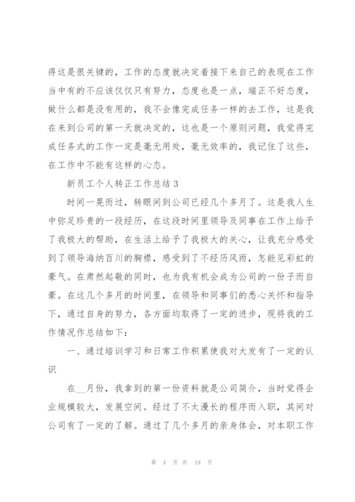 新员工个人转正工作总结.docx