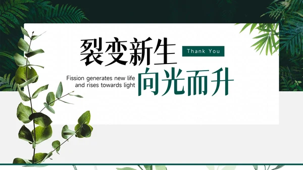 小清新绿植风工作总结PPT模版