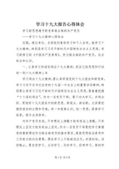 学习十九大报告心得体会 (13).docx