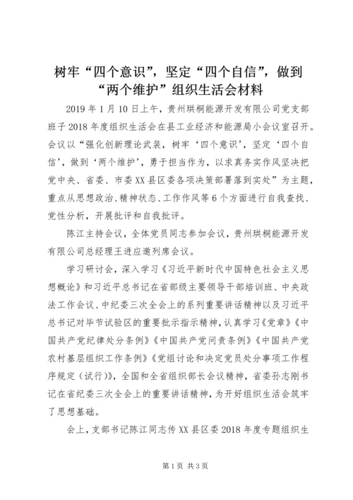 树牢“四个意识”，坚定“四个自信”，做到“两个维护”组织生活会材料 (2).docx