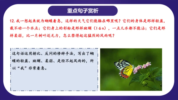 统编版语文四年级上册第二单元（复习课件）