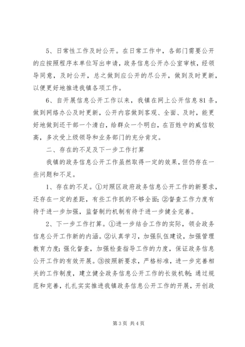 乡镇政务信息公开工作汇报.docx