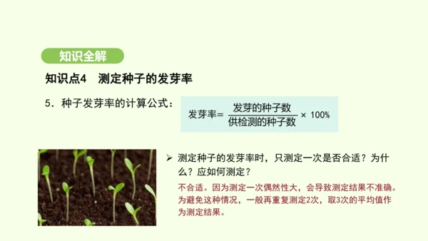 第三单元-第一章-第一节-种子的萌发课件-2024-2025学年七年级生物下学期人教版(2024)(