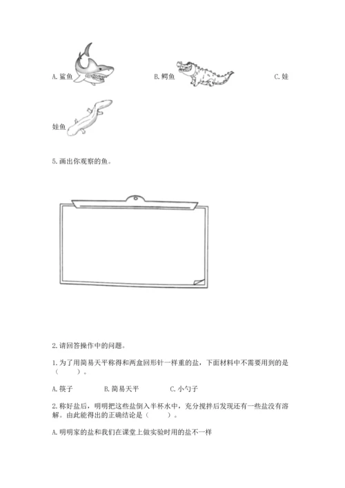 教科版一年级下册科学期末测试卷【能力提升】.docx