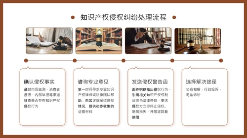 棕色商务风知识产权保护制度培训PPT